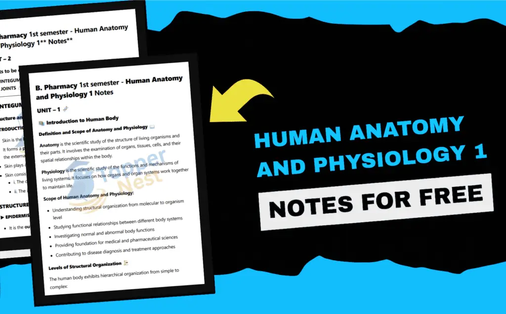 Human Anatomy and Physiology 1