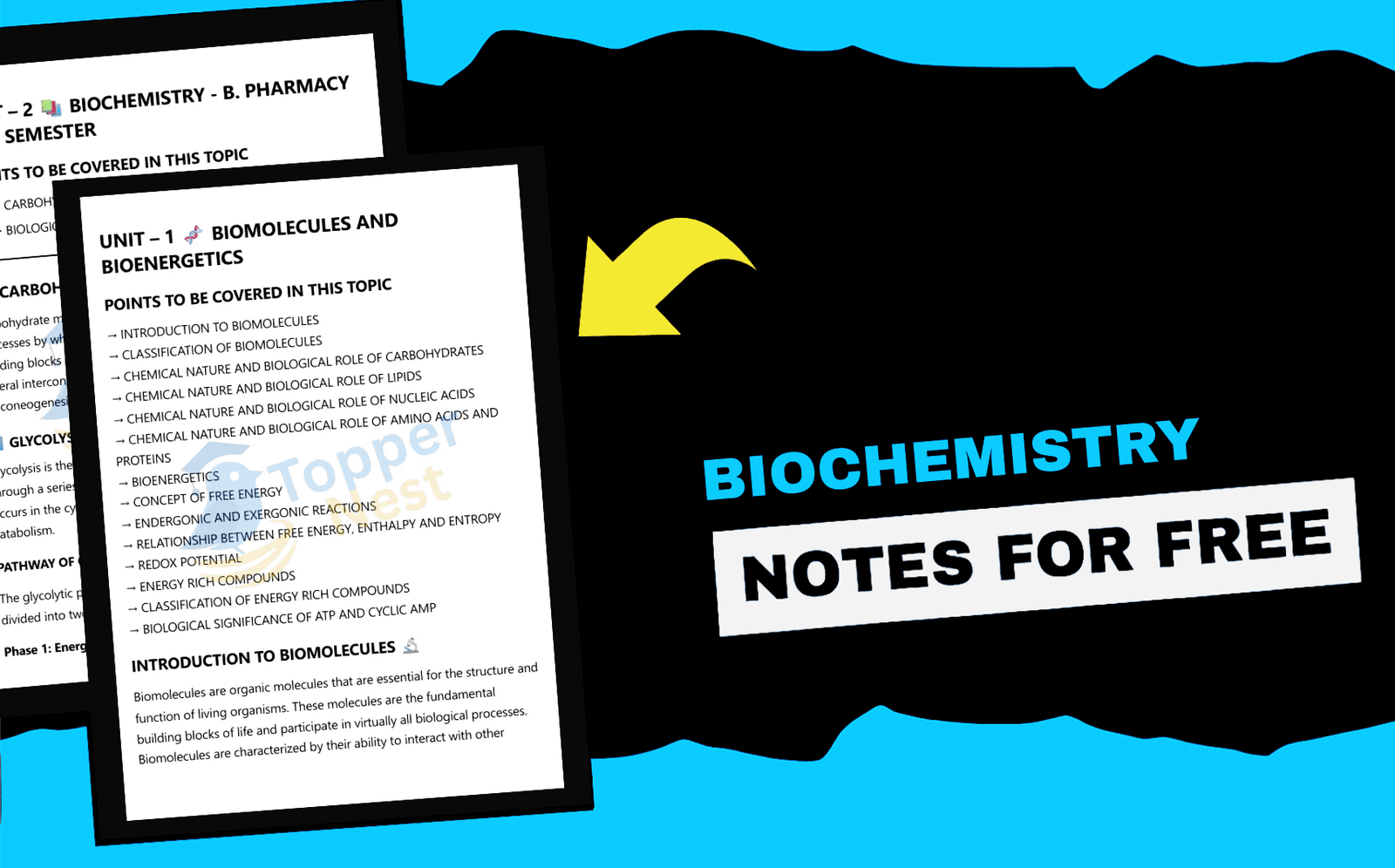 Biochemistry Notes – PDF