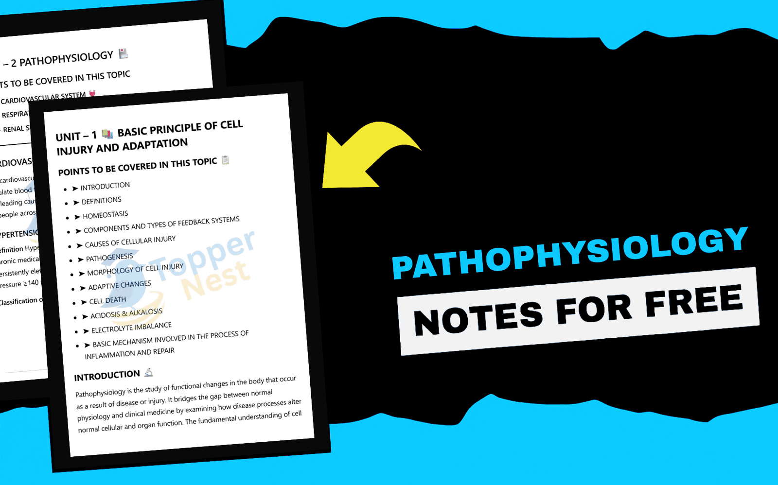 Pathophysiology Notes – PDF